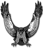 bow high school falcon logo